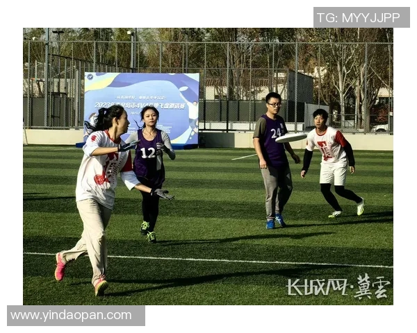 南京飞盘队在滑板精英赛中的精彩表现与实力分析