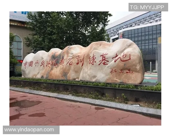 南京乒乓球队荣登团队协作排行榜第三名展现卓越实力与团队精神